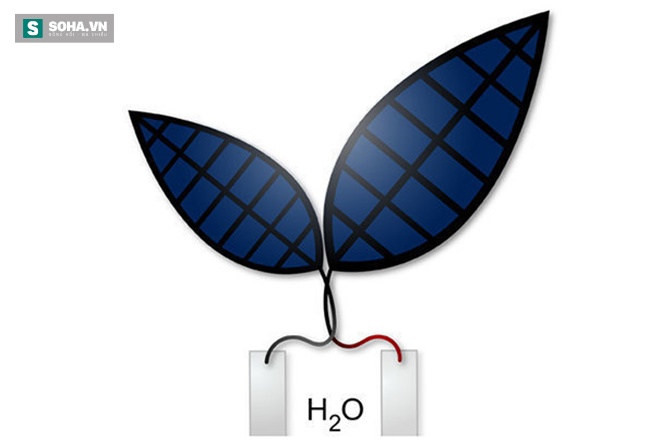 Biến hóa năng lượng Mặt Trời để sản xuất nhiên liệu lỏng - Ảnh 1.